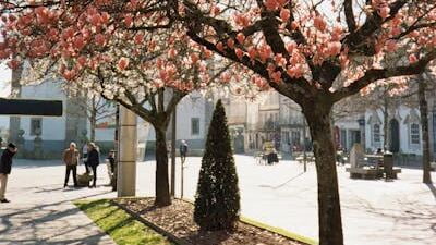 Visiting historic sites in Portugal during the Spring