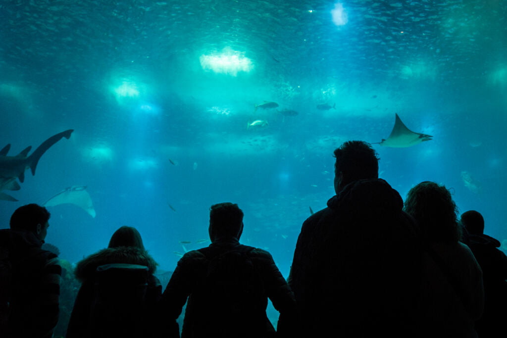 Visiting Lisbon's Oceanário in the Spring