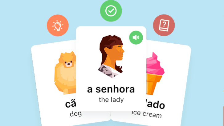 Vocabulary Builder: Your Deck of Portuguese Flashcards for Language Learning